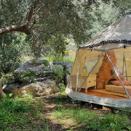 Lodge Terra