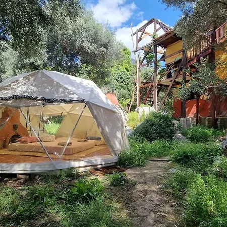 Terra Lodge